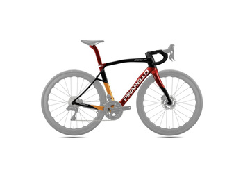 Rama Pinarello Dogma X Xolar Sun